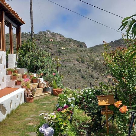 Casa Maria Villa Agulo Eksteriør bilde