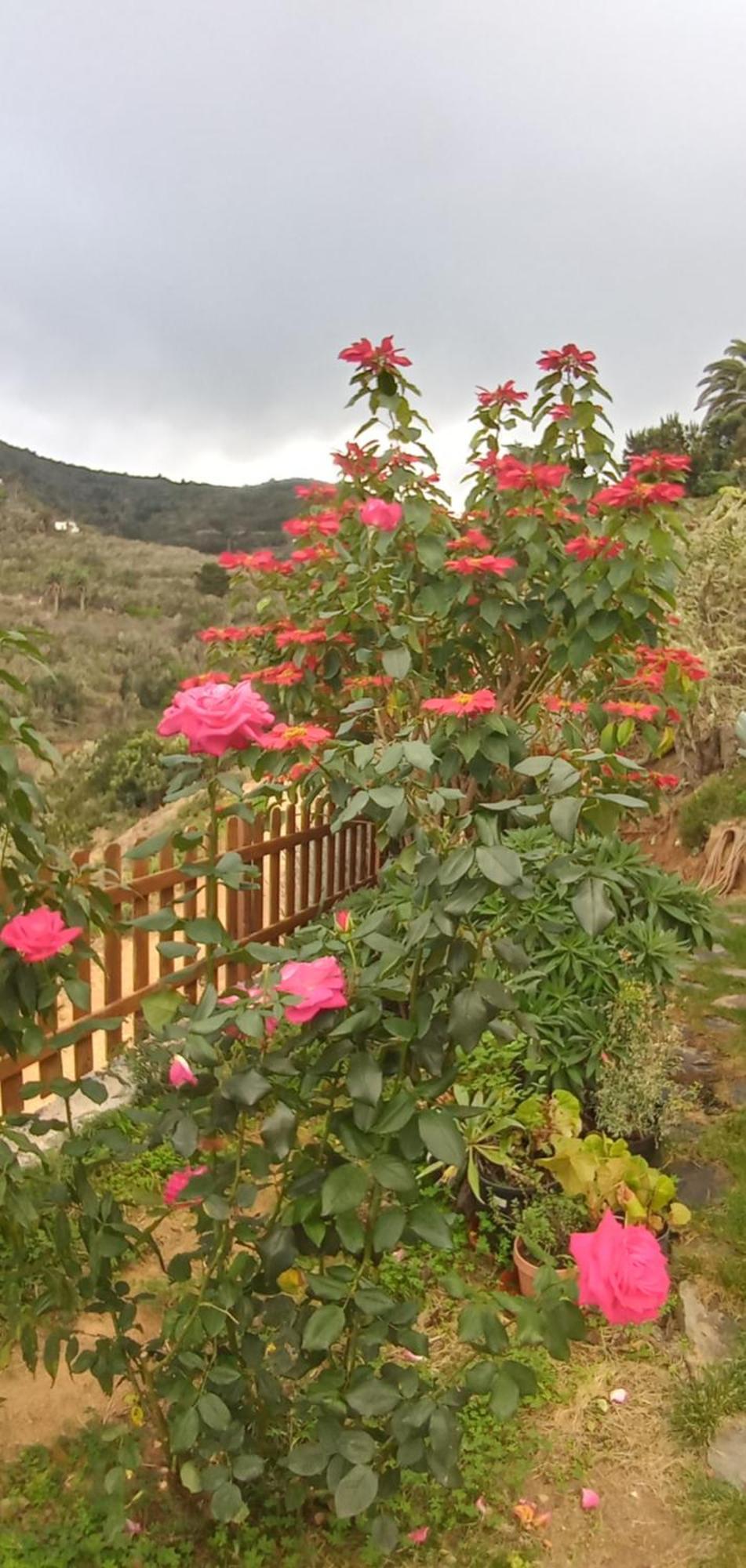 Casa Maria Villa Agulo Rom bilde